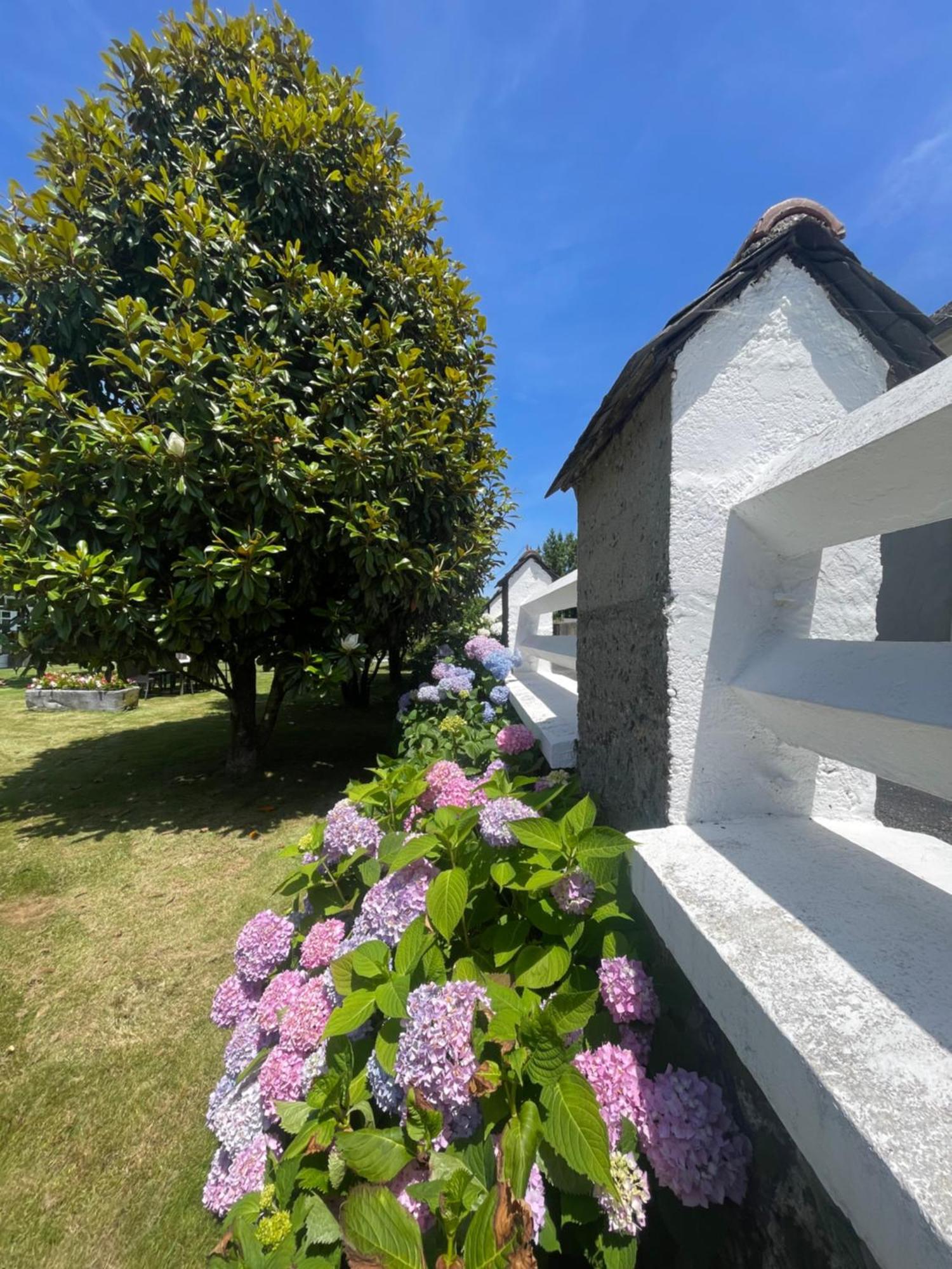 Bed and Breakfast Les Hortensias Espoey Zewnętrze zdjęcie